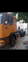 camion-shacman-2009-sidi-mezghiche-skikda-algerie