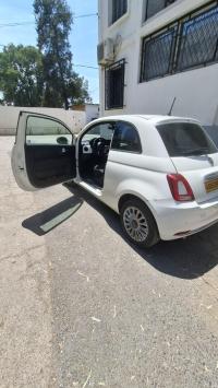 cars-fiat-500-2025-cult-mib-baraki-alger-algeria