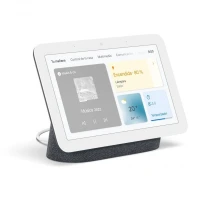 Google nest hub 2