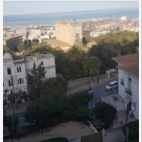 شقة-كراء-3-غرف-الجزائر-المرادية