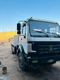 Camion grue transport levage toute distance 