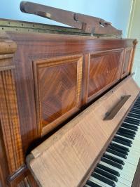 آخر-piano-البليدة-الجزائر