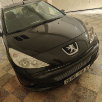 voitures-peugeot-206-plus-2010-el-kerma-oran-algerie