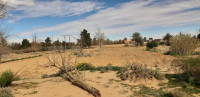 terrain-agricole-location-laghouat-sidi-makhlouf-algerie