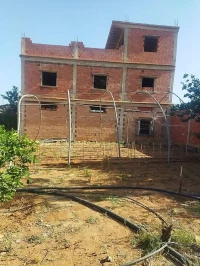 Vente Terrain Agricole Mostaganem Ain tadles