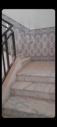 appartement-vente-f3-ain-defla-khemis-miliana-algerie