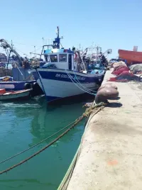 Volvo sardinier moteur volvo 416 longeur 18 m largeur 5,7 m 1988
