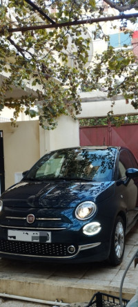 voitures-fiat-500-2023-club-annaba-algerie