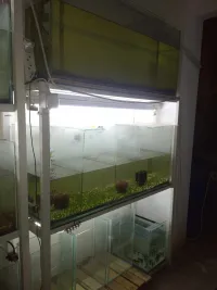 battrie d'aquariume