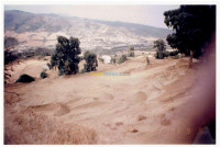 terrain-vente-boumerdes-thenia-algerie