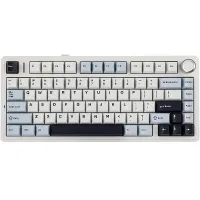 MAGNETIC SWITCHES WIRELESS AULA x EPOMAKER F75 RGB WHITE/BLUE