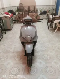 VMS CORAL VMS 2024