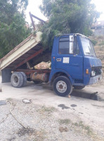 camion-k66-sonacom-1977-oued-athmania-mila-algerie