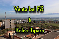 appartement-vente-f3-tipaza-kolea-algerie