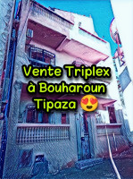 villa-vente-tipaza-bou-haroun-algerie