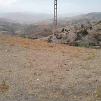 terrain-agricole-vente-setif-bougaa-algerie