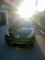 voitures-peugeot-206-plus-2011-thenia-boumerdes-algerie