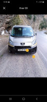 voitures-peugeot-expert-2010-bir-el-djir-oran-algerie