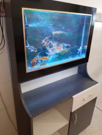 Aquarium plasma avec meuble d'origine 