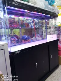 Aquariums d'importation avec meuble d'origine