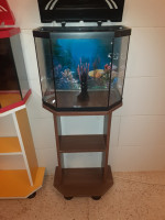 أكسسوارات-للحيوانات-aquarium-avec-meuble-accessoires-complet-et-6-poissons-koi-الجزائر-وسط