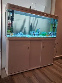 Aquariums d'importation 1m avec meuble d'origine