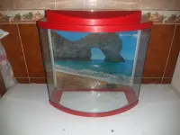 Aquarium façade bombée 