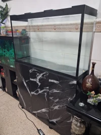 Aquarium avec meuble 1m Complet avec 35 poissons 