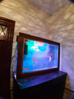 accessoire-pour-animaux-aquarium-plasma-80cm-avec-poissons-et-accessoires-complet-alger-centre-algerie