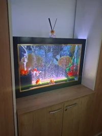 Aquarium plasma 80cm avec accessoires et poissons Japonaises d'importation 
