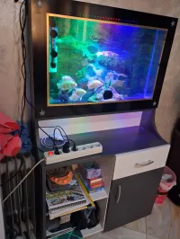 Aquarium plasma avec meuble 80cm