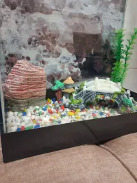 Aquarium 40 litres 35x40x20cm super équipé 
