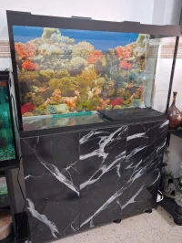 Aquarium avec meuble 1m Complet avec 35 poissons 