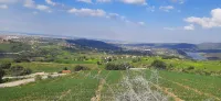 Vente Terrain Boumerdès El kharrouba