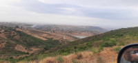 terrain-vente-boumerdes-el-kharrouba-algerie