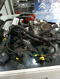 Faisceau moteur calculateur papillon airbag Fiat 500 1-2