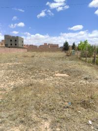 land-sell-djelfa-ain-maabed-algeria
