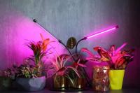 الزراعة-lampe-de-croissance-led-aithea-portable-البليدة-الجزائر