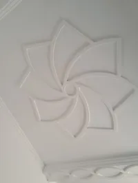 كل أنواع الجبس