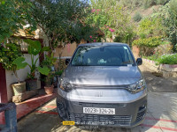 fourgon-fiat-doblo-2024-tablat-medea-algerie