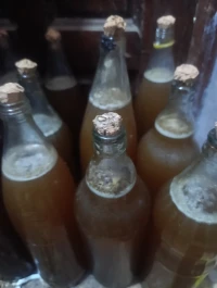 عسل حر طبيعي تع غابة