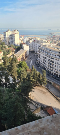 appartement-vente-f3-alger-centre-algerie