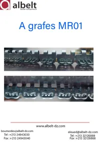 Agrafes MR 01