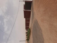 Vente Terrain Timimoun Timimoun