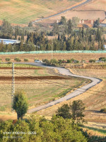 terrain-agricole-vente-bouira-algerie