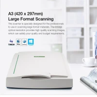 Scanner A3 Mustek
