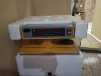 فقاسات وحاضنات فقاصات