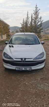 voitures-peugeot-206-2002-ferdjioua-mila-algerie