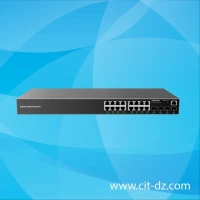 Switch 16 port