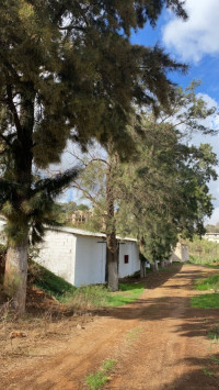 hangar-location-alger-birkhadem-algerie